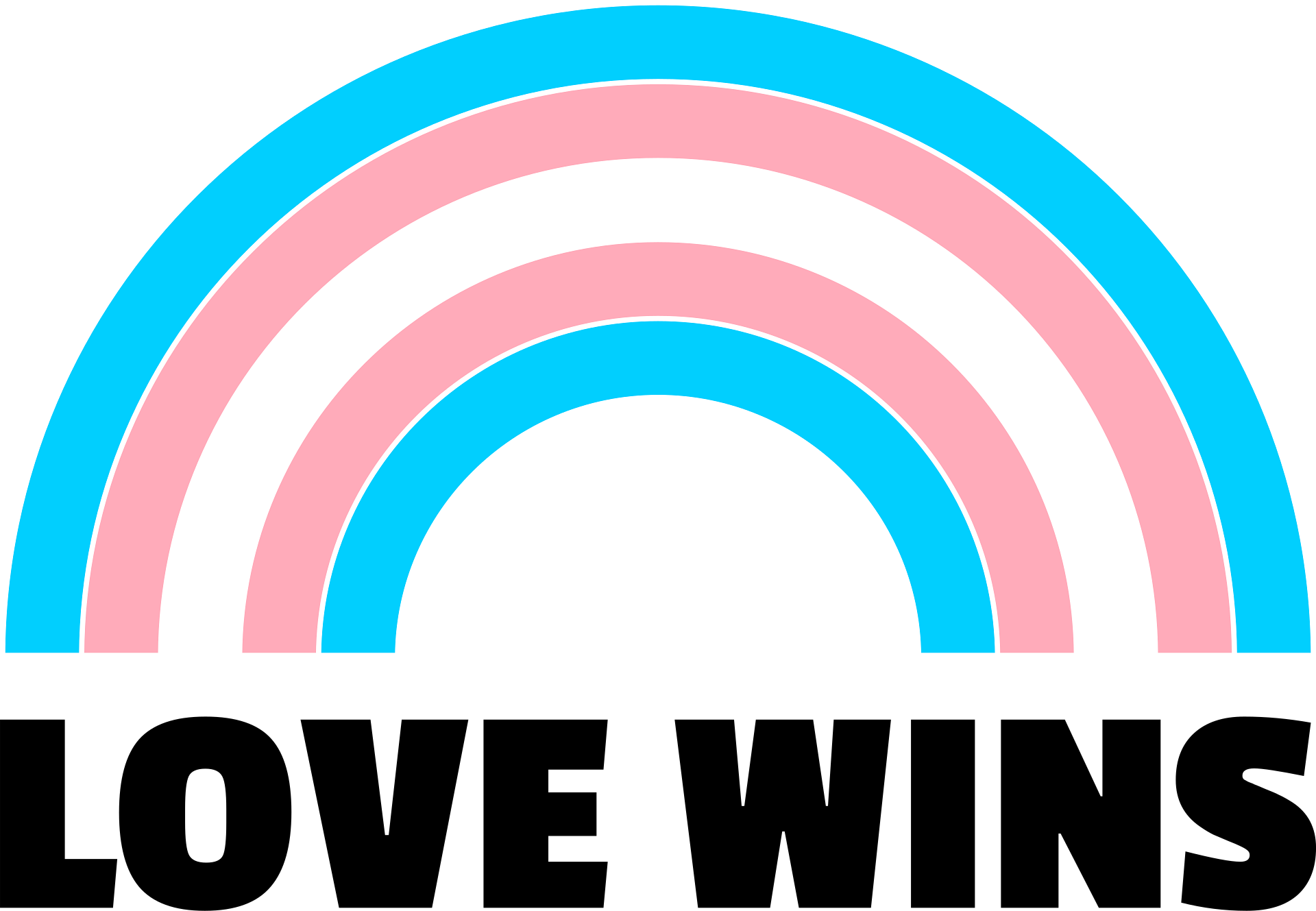 A trans pride rainbow with the words 'Love Wins'.